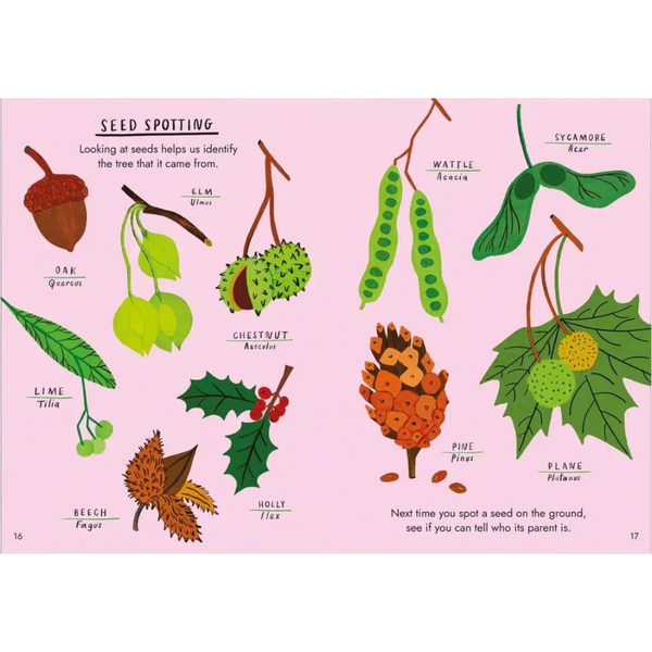 Hello Trees A Little Guide to Nature