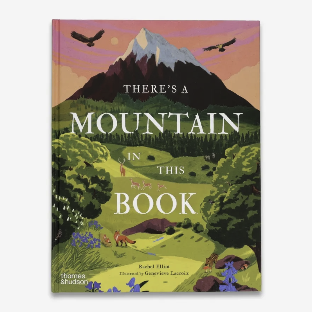 There’s a Mountain in This Book