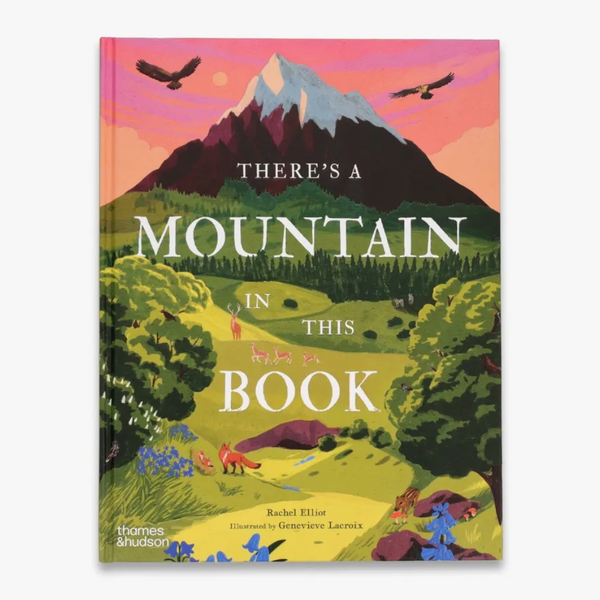 There’s a Mountain in This Book