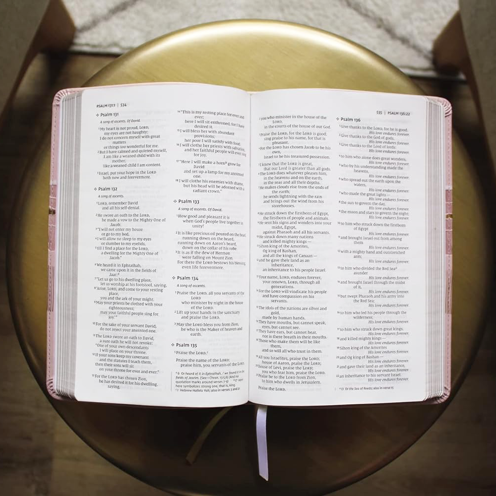 NIV Leathersoft Thinline Bible, Pink