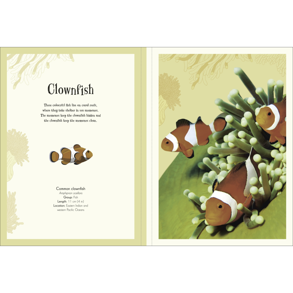 An Anthology of Intriguing Animals Poster Book