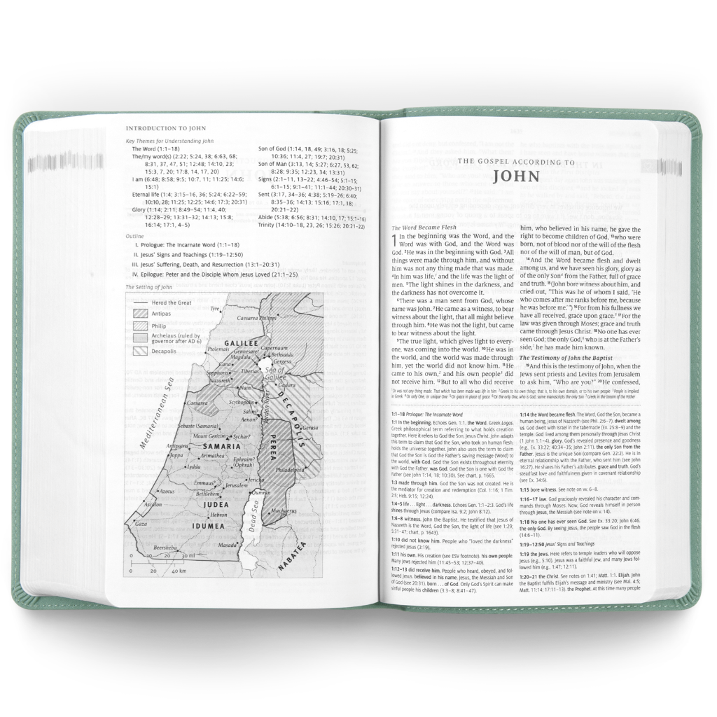 ESV Teen Study Bible, TruTone®, Seaside Blue