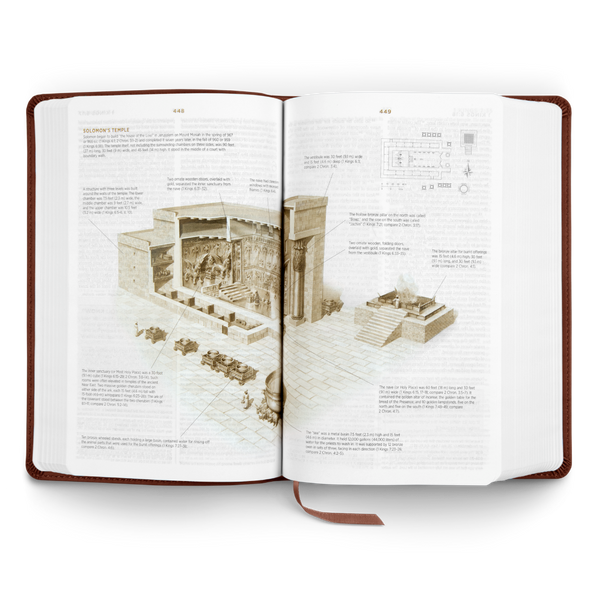 ESV Student Study Bible®, TruTone®, Chestnut