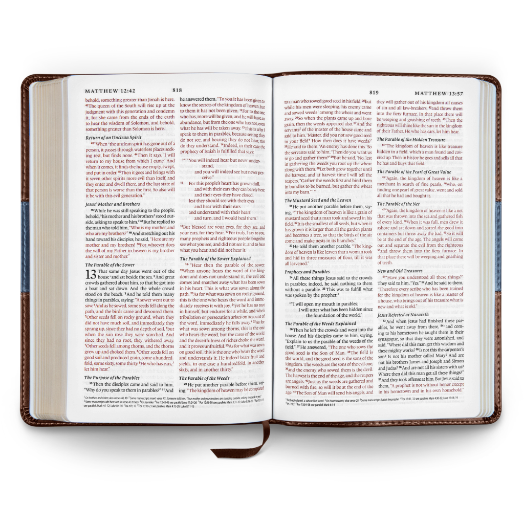 ESV Thinline Bible TruTone®, Chocolate/Blue, Paisley Band Design