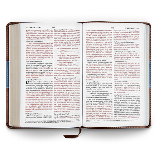 ESV Thinline Bible TruTone®, Chocolate/Blue, Paisley Band Design