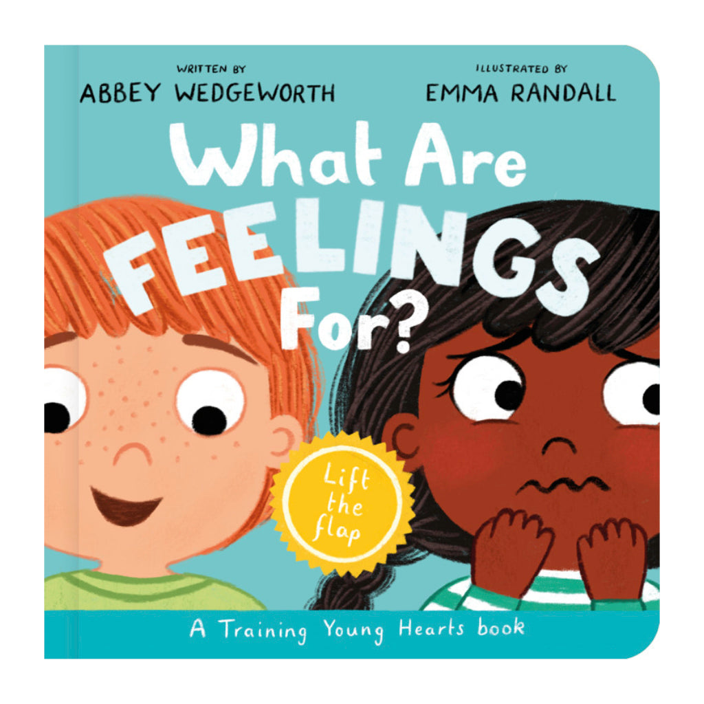 What Are Feelings For? (Lift-the-Flap)