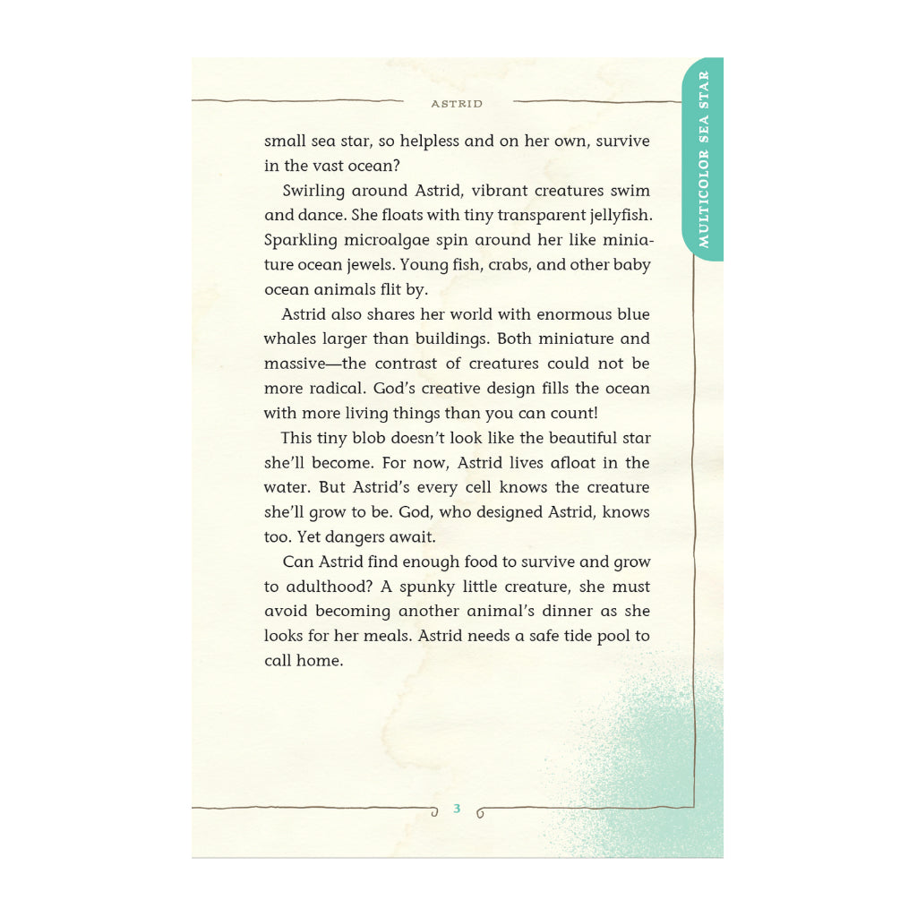 Wonders of the Ocean Realm