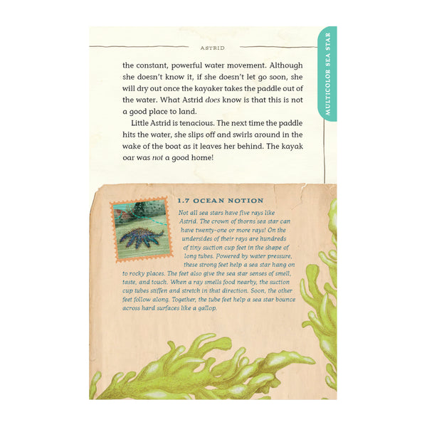 Wonders of the Ocean Realm