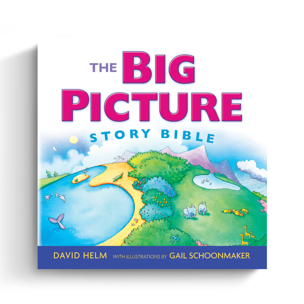 The Big Picture Story Bible