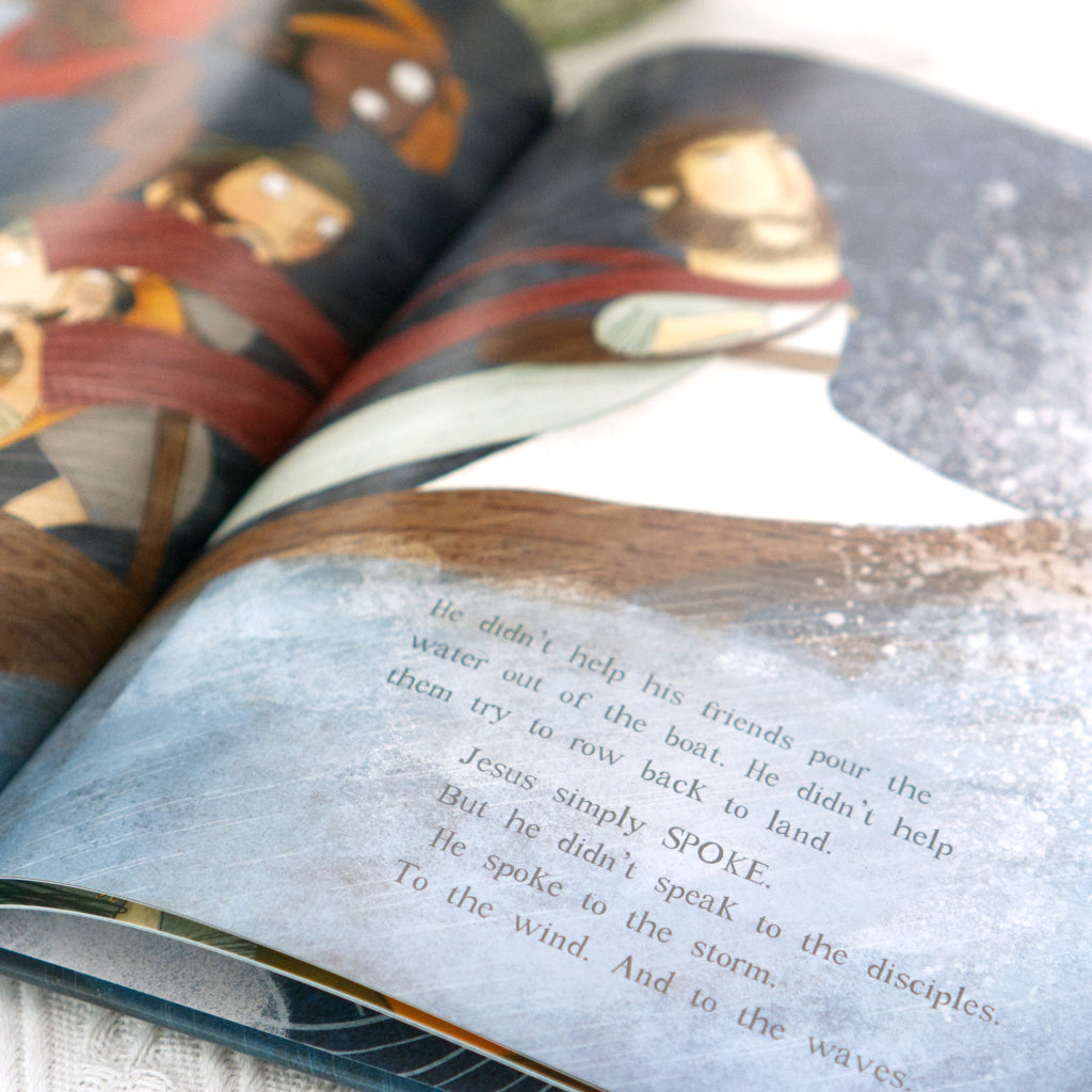 The Storm That Stopped: A true story about who Jesus really is