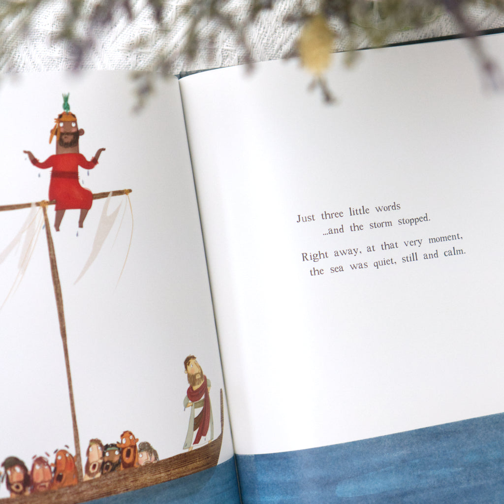 The Storm That Stopped: A true story about who Jesus really is