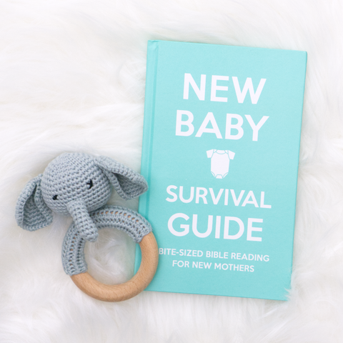 New Baby Survival Guide