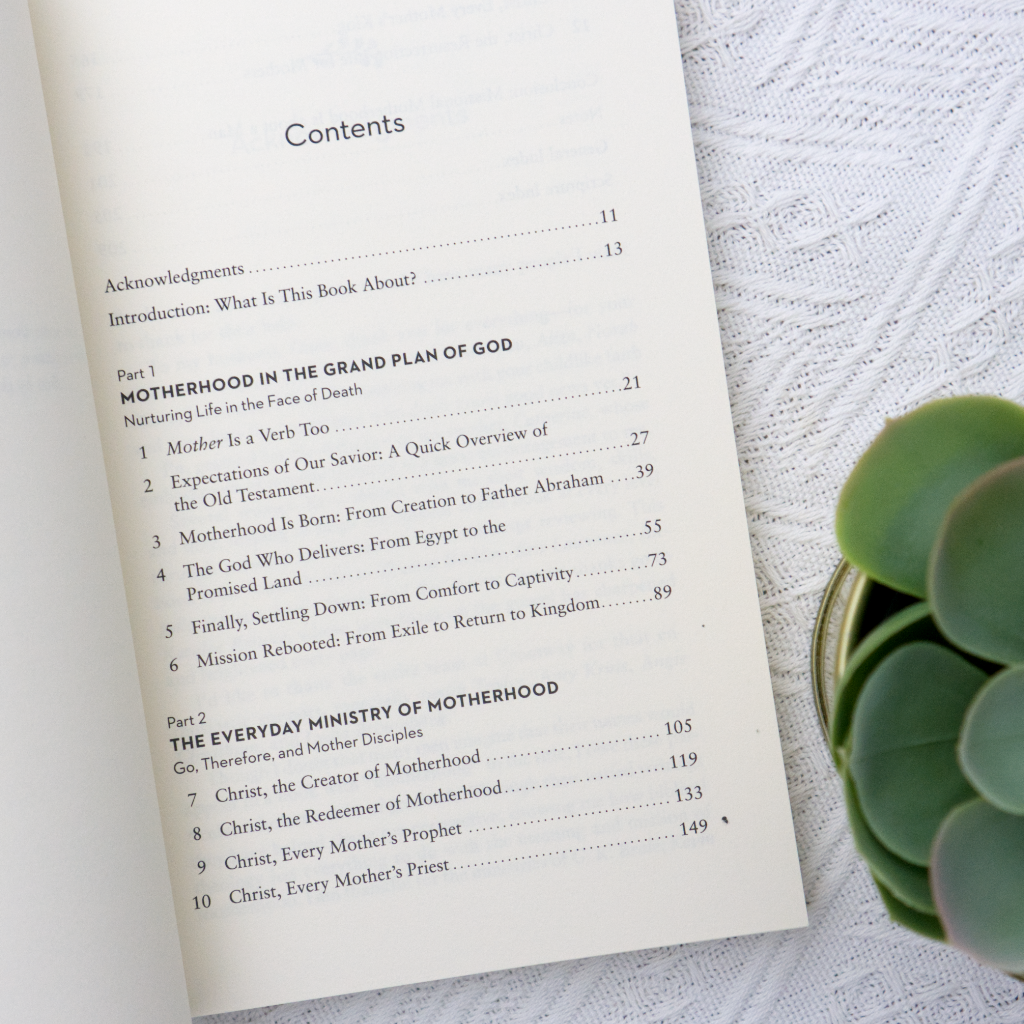 Missional Motherhood: The Everyday Ministry of Motherhood in the Grand Plan of God