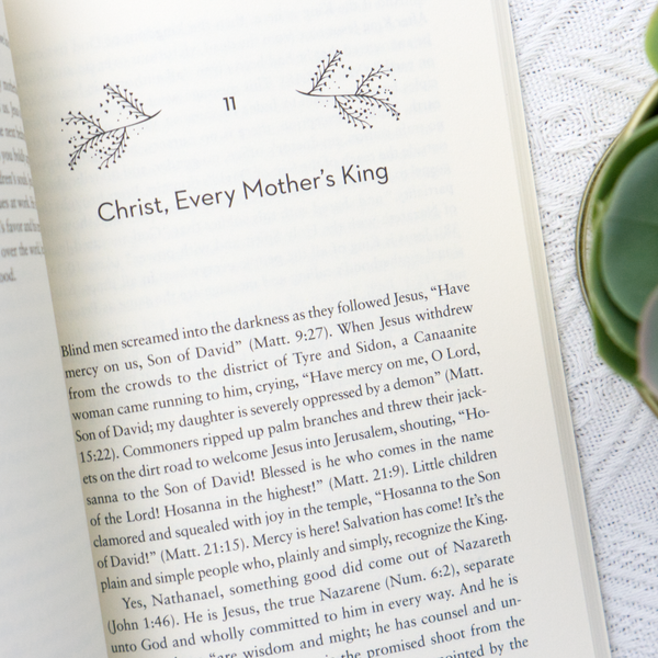 [As Is] Missional Motherhood: The Everyday Ministry of Motherhood in the Grand Plan of God