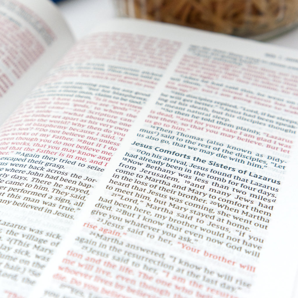 NIV Leathersoft Bible for Kids: Thinline Edition, Pink