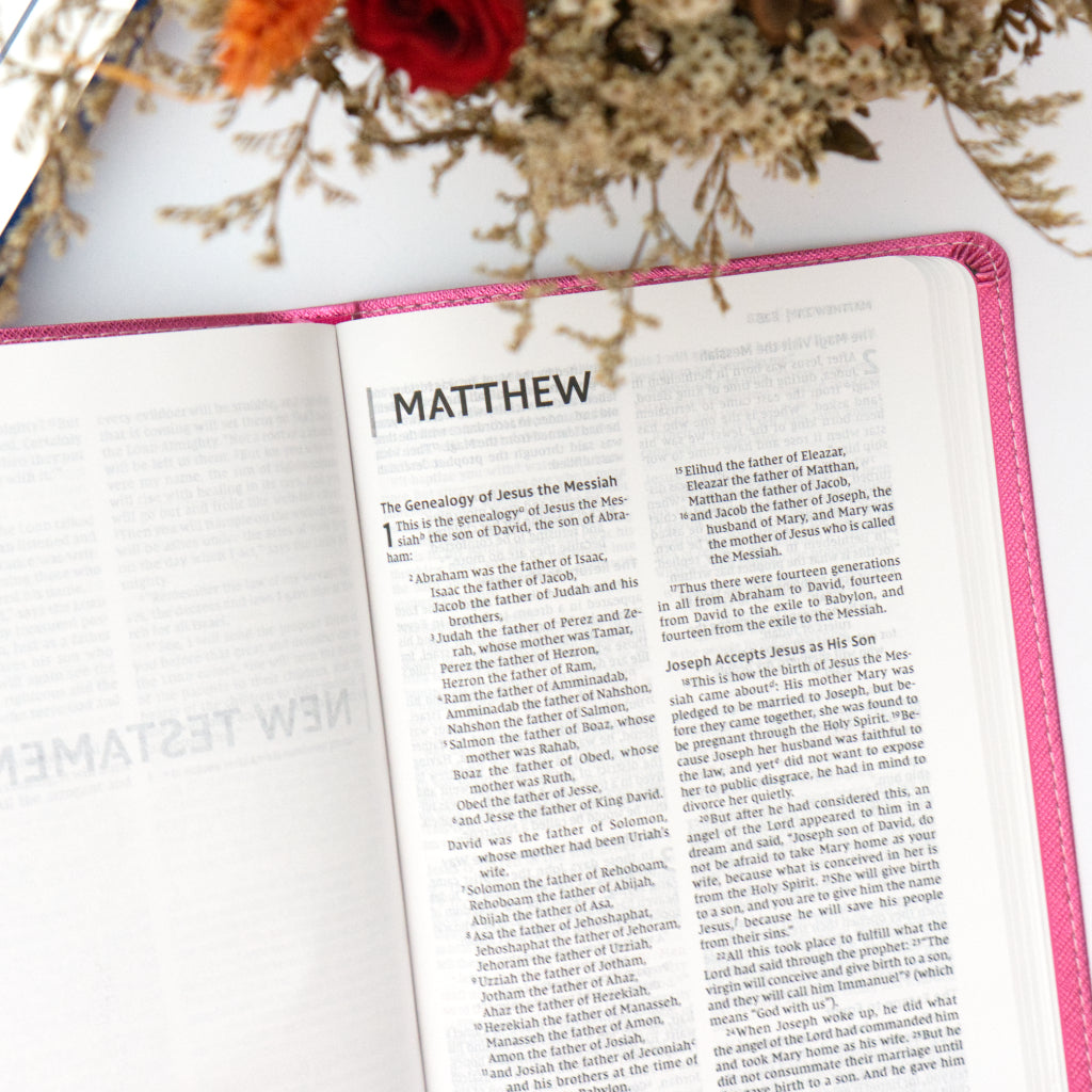 NIV Leathersoft Bible for Kids: Thinline Edition, Pink