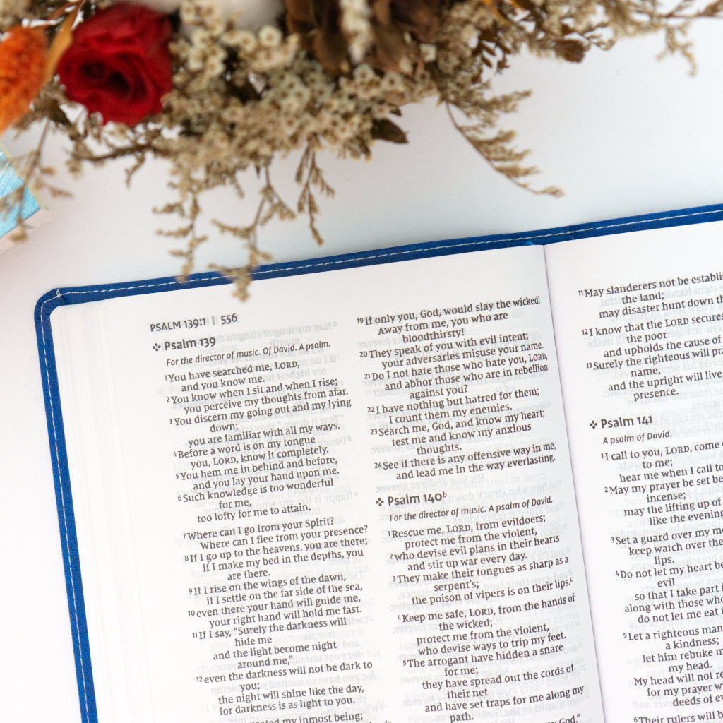 NIV Leathersoft Bible for Kids: Thinline Edition, Large Print, Blue