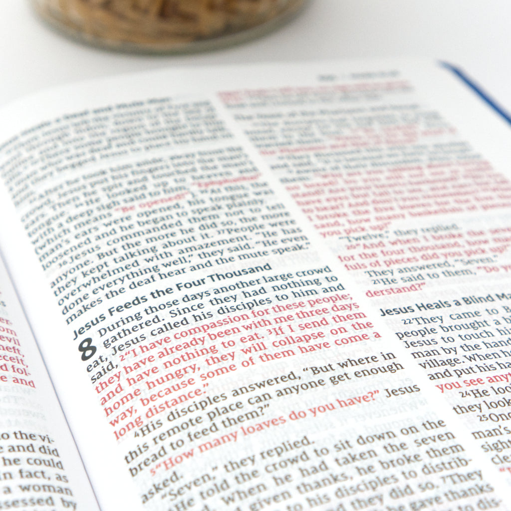 NIV Leathersoft Bible for Kids: Thinline Edition, Large Print, Blue