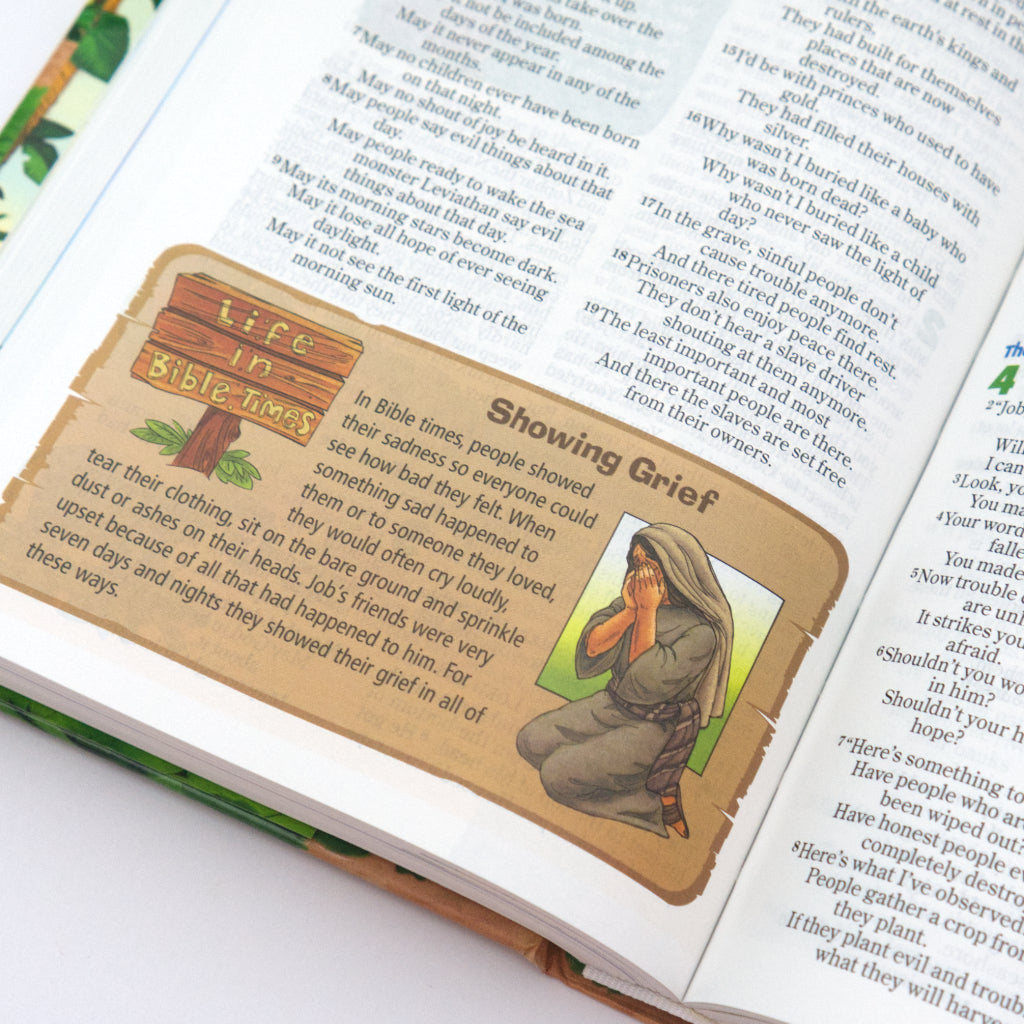 NIrV Adventure Bible for Early Readers