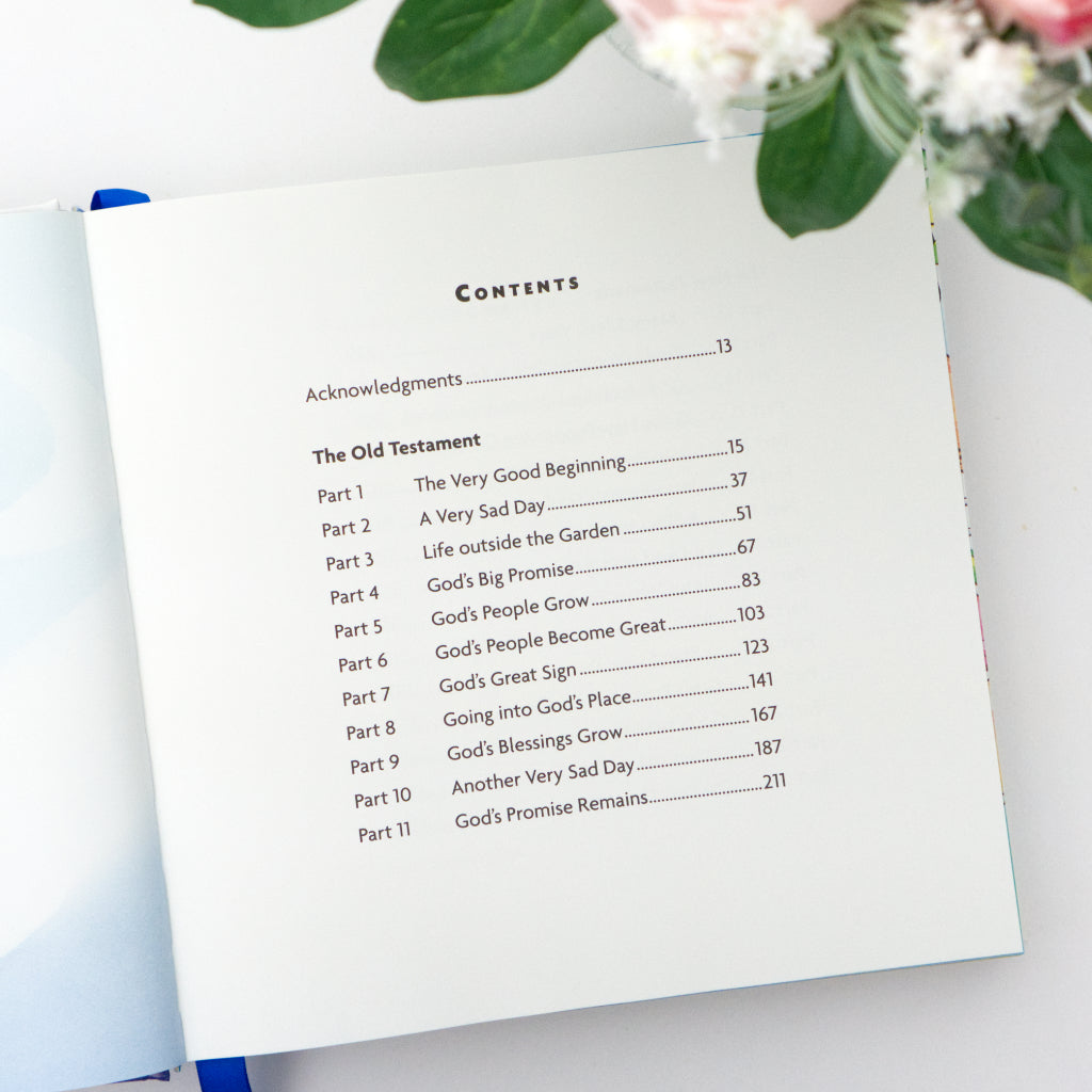 The Big Picture Story Bible